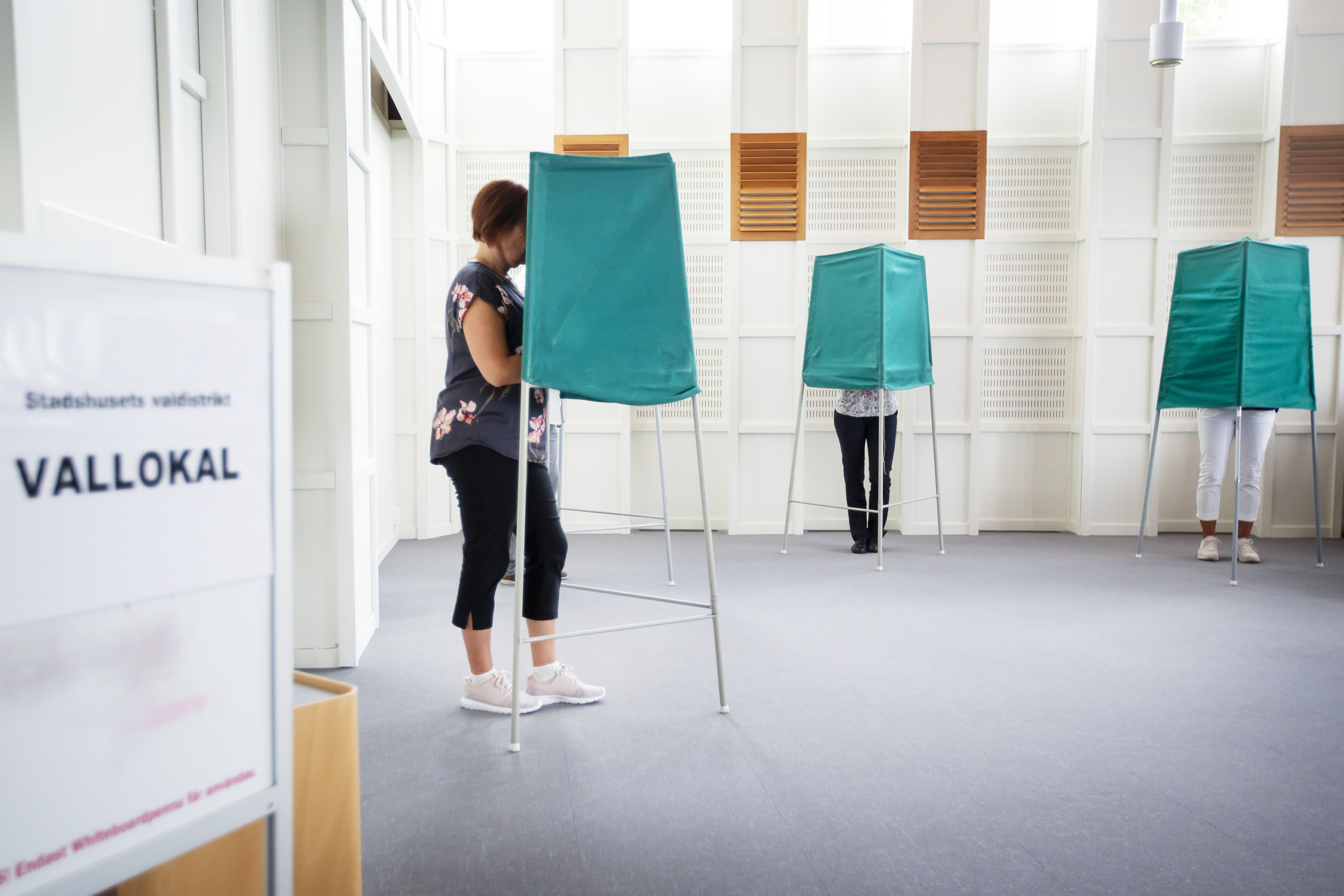 Swedish voting poll